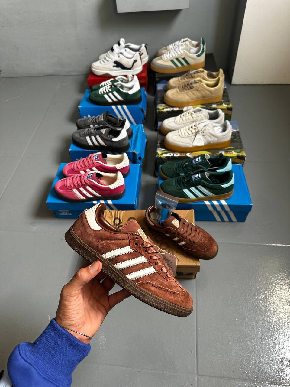samba brown
